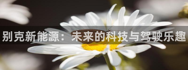 众联别墅g座上腾娱乐有限公司