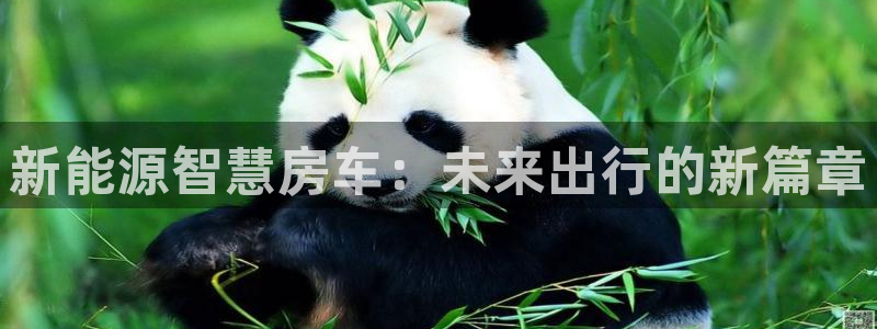 众腾娱乐登入探索无限空间