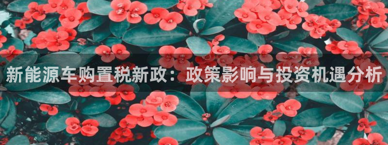 腾耀娱乐众推46996