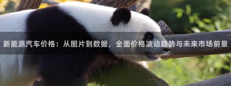 众腾娱乐