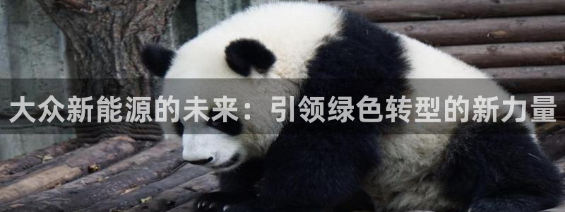 众腾娱乐登入探索无限空间