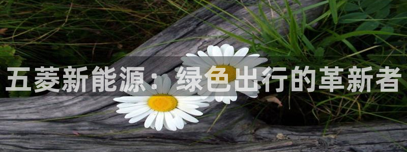 众腾娱乐平台