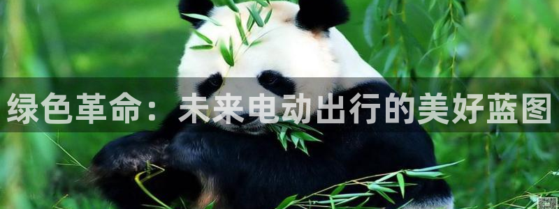 楚雄众腾娱乐是干什么的