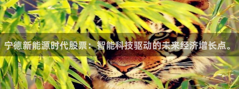 众腾娱乐官方客服电话