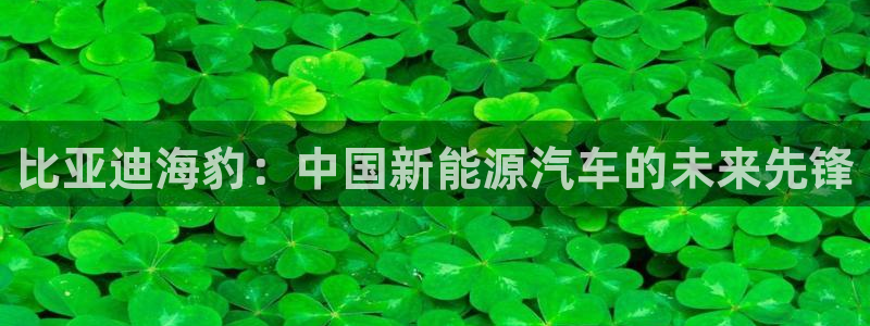 众腾娱乐APP下载：比亚迪海豹：中国新能