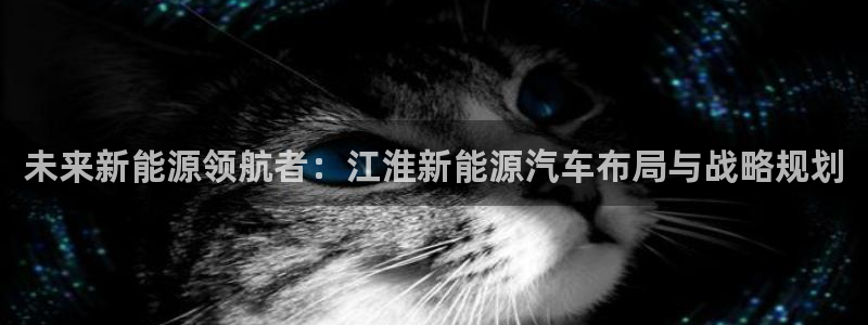 腾耀娱乐29999出众：未来新能源领航者