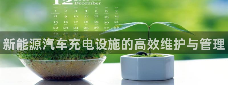 众腾娱乐总代理