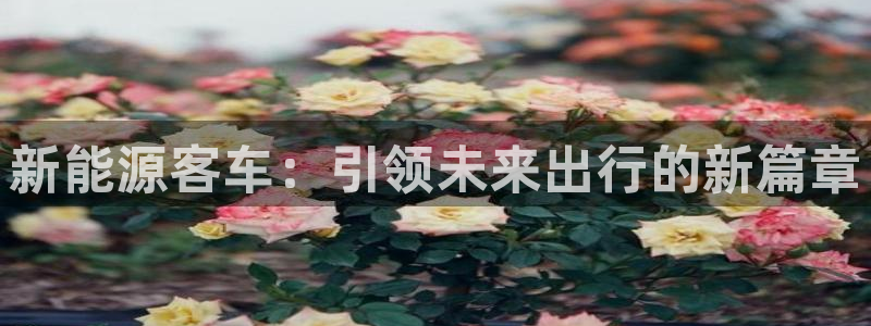 众腾娱乐代理怎么样