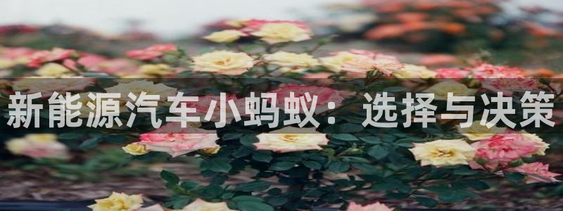 众腾娱乐集团有限公司