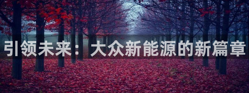 众腾娱乐邵阳:引领未来:大众新能源的新篇章