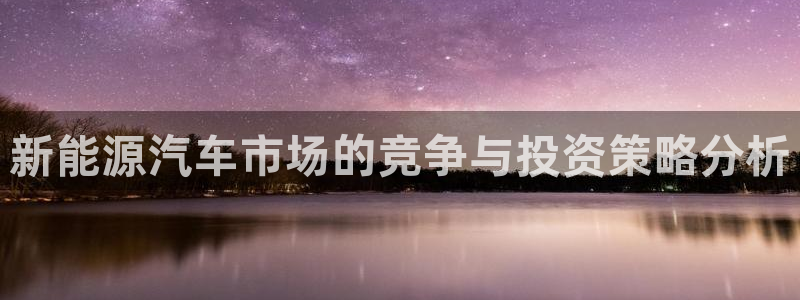众腾娱乐平台下载:新能源汽车市场的竞争与投资策略分析