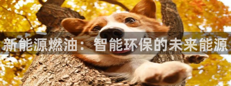 众腾娱乐总代理:新能源燃油:智能环保的未来能源