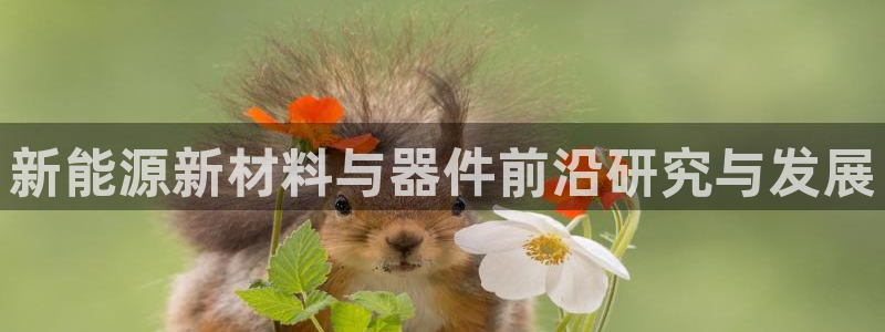 腾众娱乐是什么:新能源新材料与器件前沿研究与发展