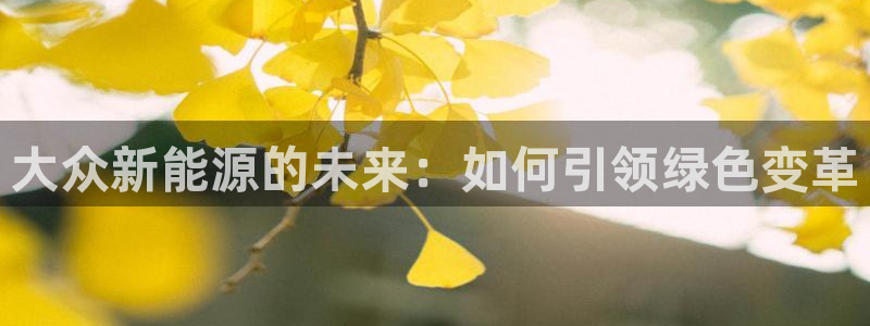 腾耀娱乐众推46996:大众新能源的未来:如何引领绿色变革