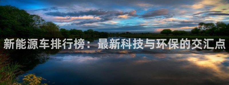 众腾娱乐下7O777:新能源车排行榜:最新科技与环保的交汇点