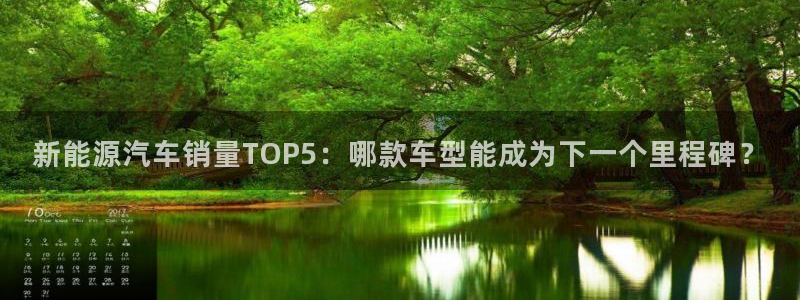 腾众娱乐彩票:新能源汽车销量TOP5:哪款车型能成为下一个里