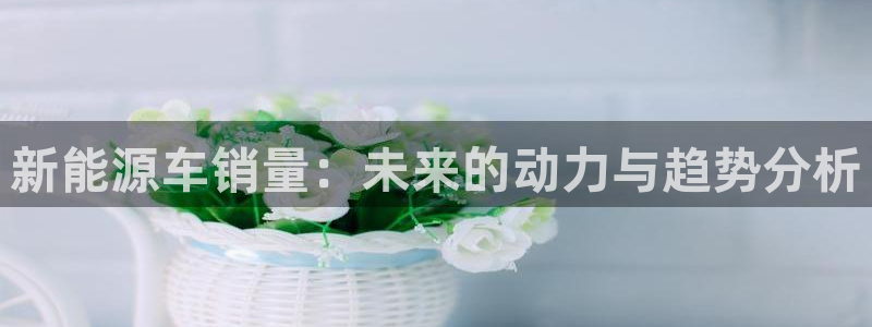 众腾娱乐客服：新能源车销量：未来的动力与