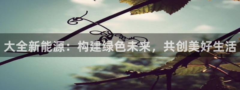 众腾娱乐邵阳:大全新能源:构建绿色未来,共创美好生活
