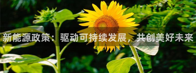 众腾娱乐集团有限公司：新能源政策：驱动可