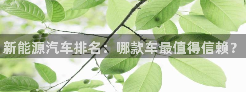 腾众娱乐是什么：新能源汽车排名：哪款车最