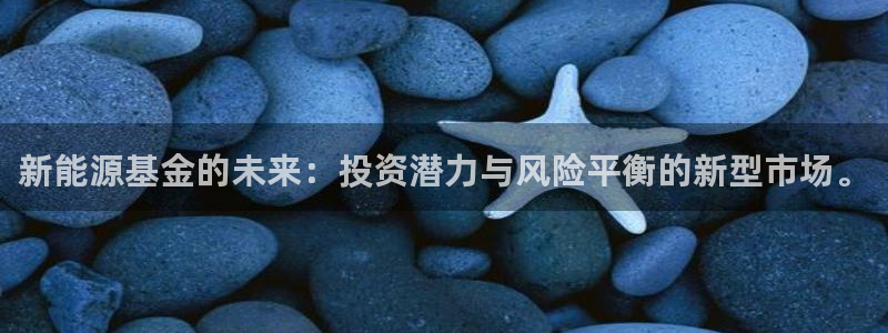众腾娱乐平台官网入口：新能源基金的未来：