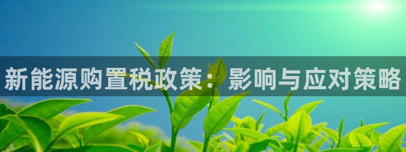 众腾娱乐客服：新能源购置税政策：影响与应