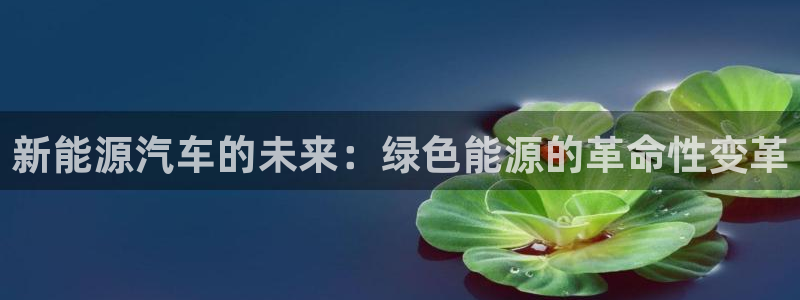 楚雄众腾娱乐在哪里:新能源汽车的未来:绿色能源的革命性变革