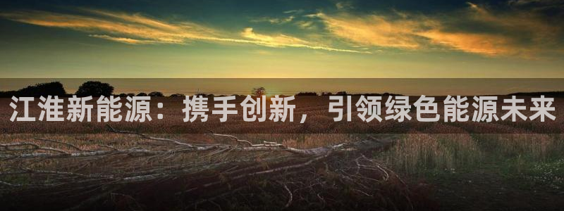 腾耀娱乐众320059:江淮新能源:携手创新,引领绿色能源未