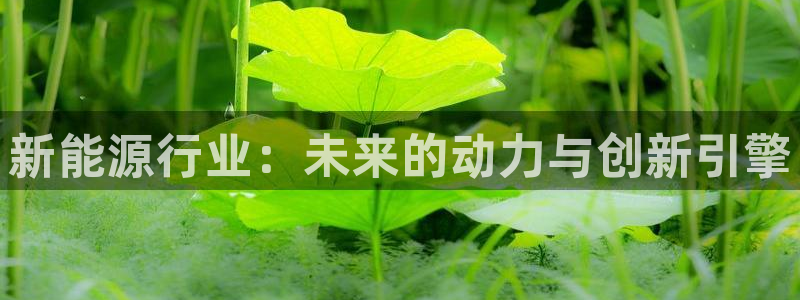 众腾娱乐总代理:新能源行业:未来的动力与创新引擎