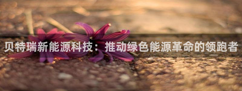 众腾娱乐扣款是正规的吗:贝特瑞新能源科技:推动绿色能源革命的