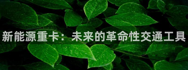 众腾娱乐代理怎么样:新能源重卡:未来的革命性交通工具